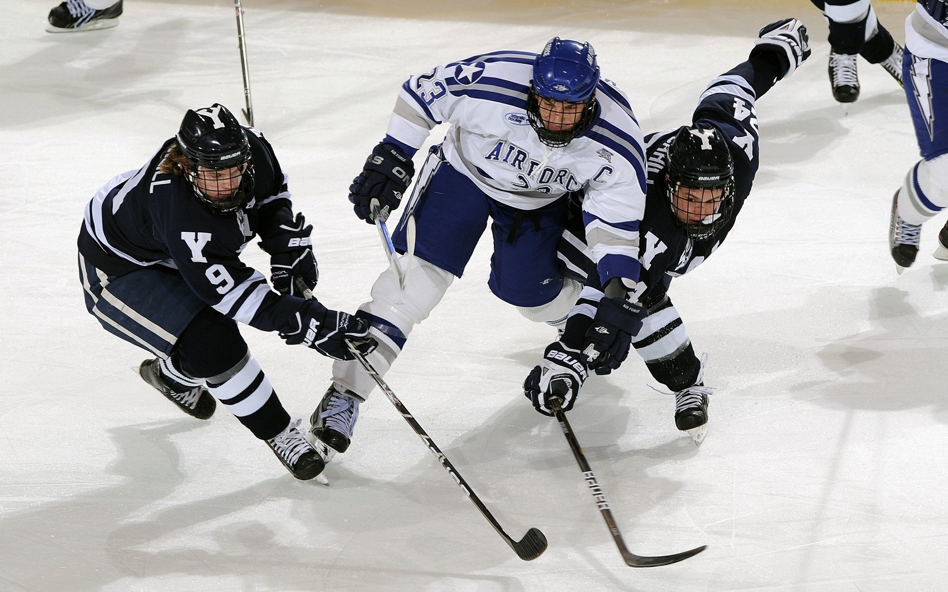 森林狼的狼性觉醒，福克斯的欧冠封神，跨越体育的统治力