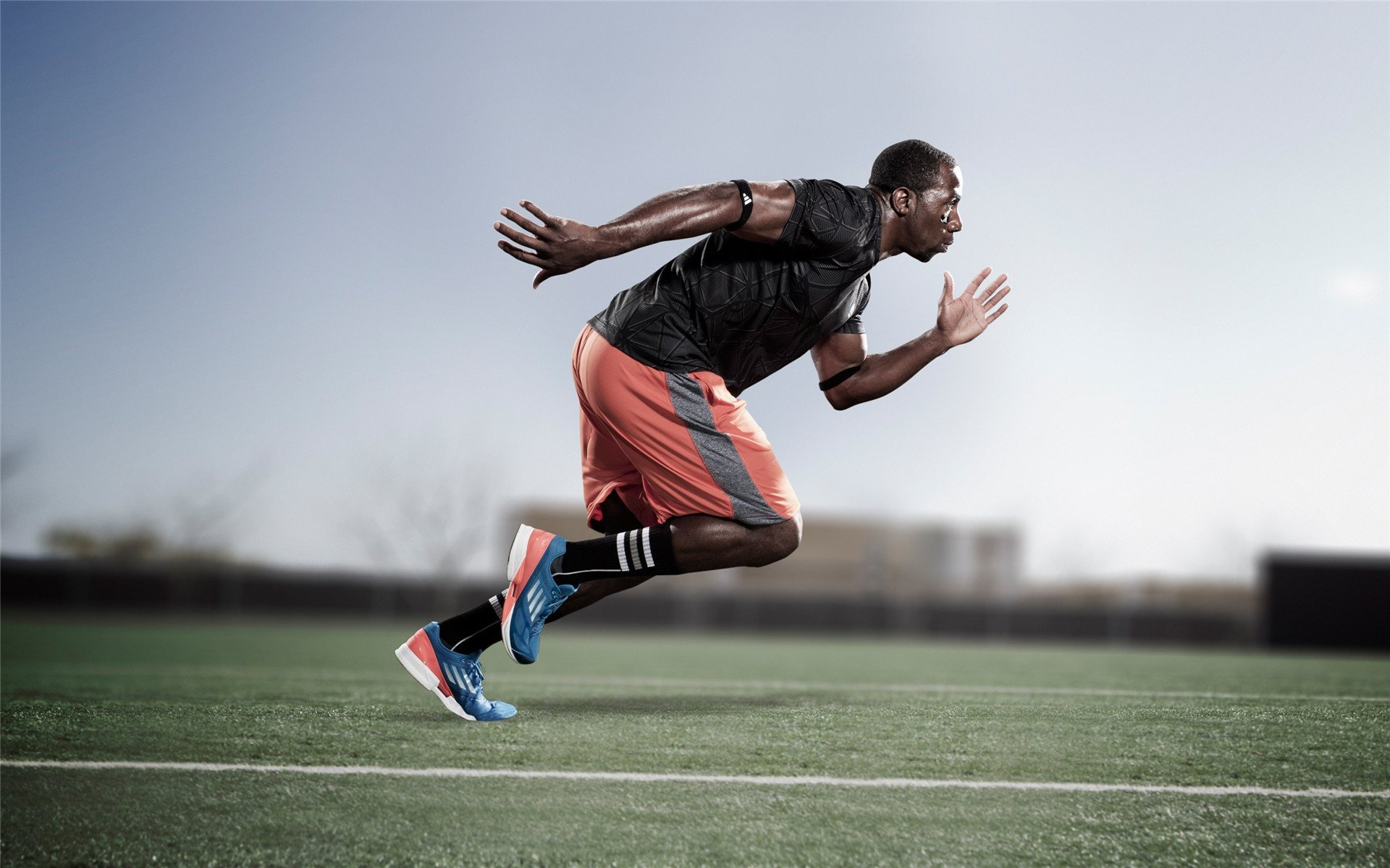 老鹰展翅，鹈鹕折翼，一场战术与意志的完胜