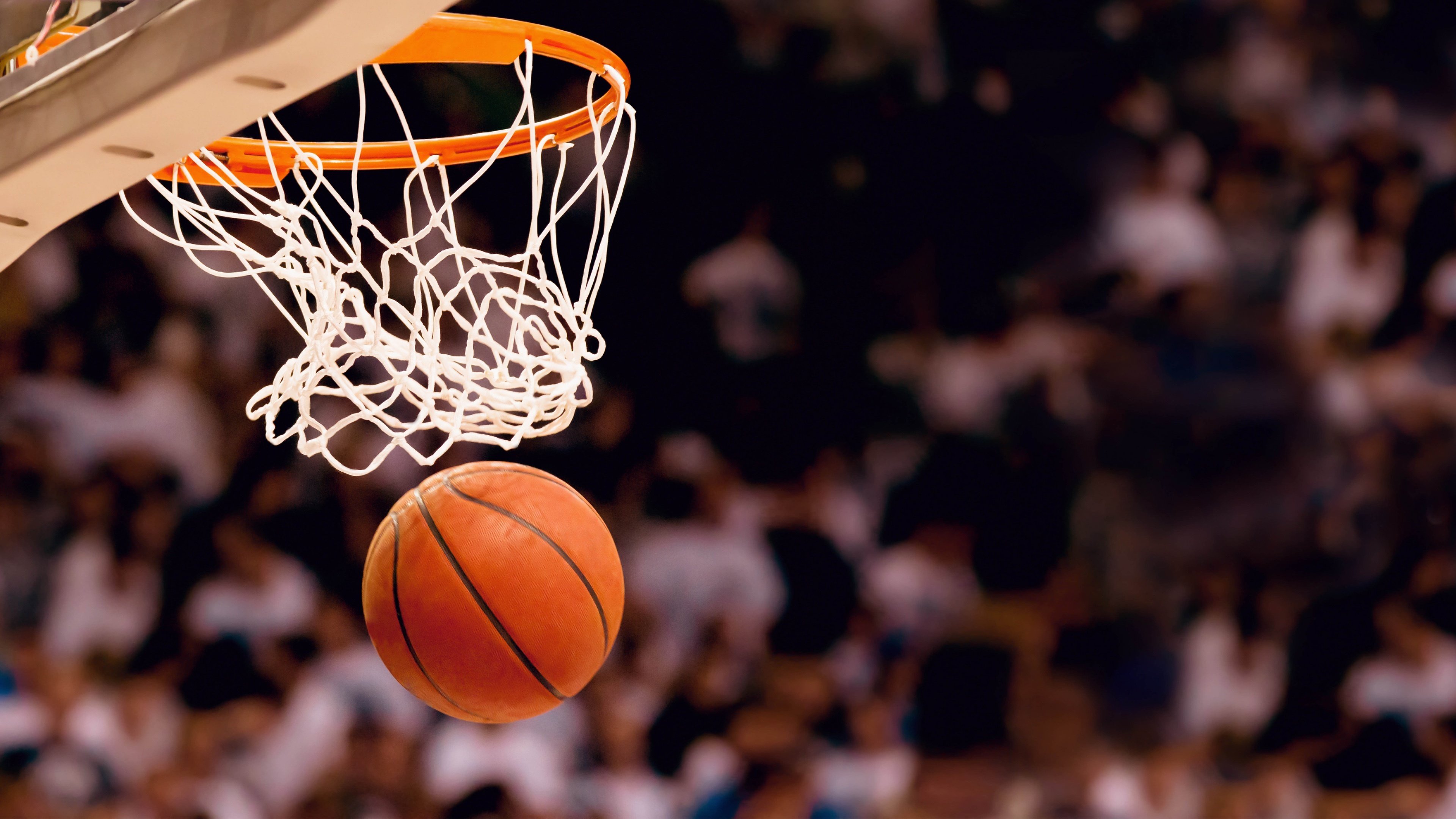 红枫之怒，2026世界杯A组揭幕战，加拿大用战术风暴撕裂奥地利，努涅斯独舞新大陆